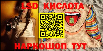 гидропоника Сланцы