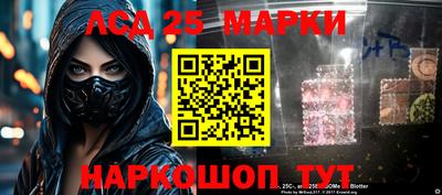 гидропоника Сланцы