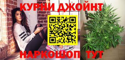 гидропоника Сланцы