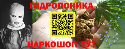 соль ск Славгород