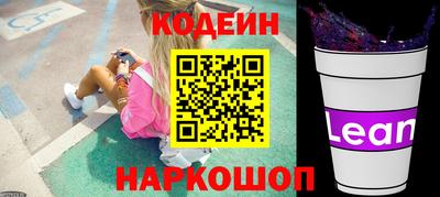 гидропоника Сланцы