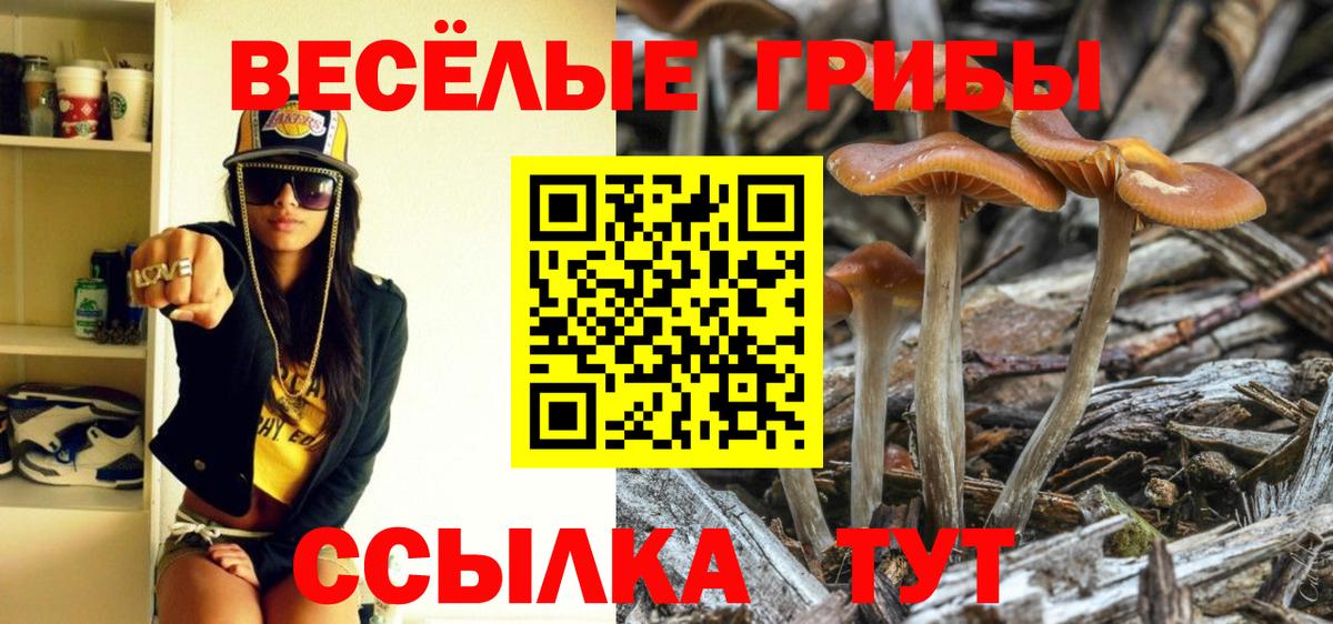 Галлюциногенные грибы Cubensis  Галлюциногенные грибы Psilocybe  Вход с VPN  Саранск 